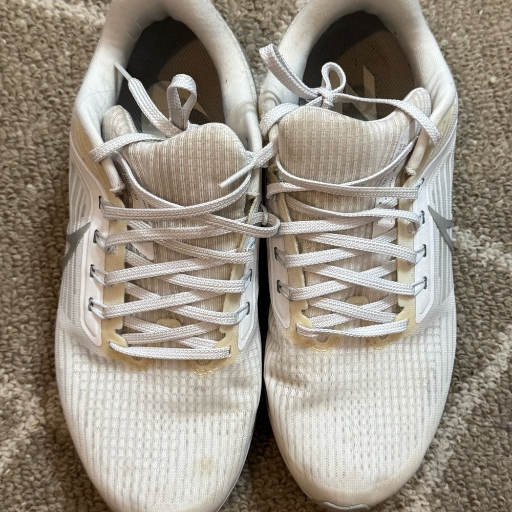 Nike Pegasus